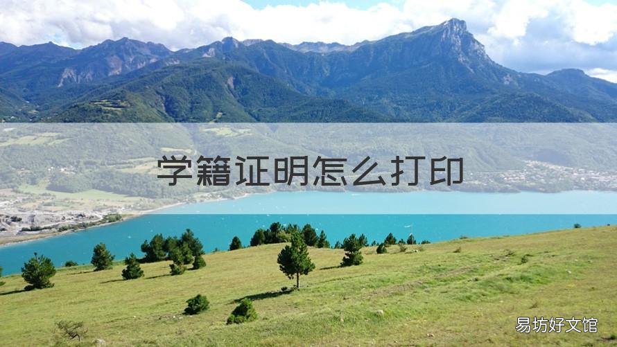 学籍证明怎么打印 学籍证明怎么打印电子版