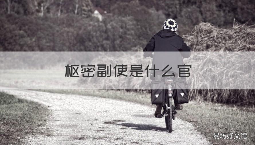枢密副使是什么官 枢密副使是什么职位