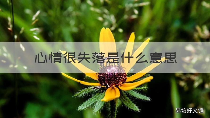 心情很失落是什么意思 心情失落了是什么意思