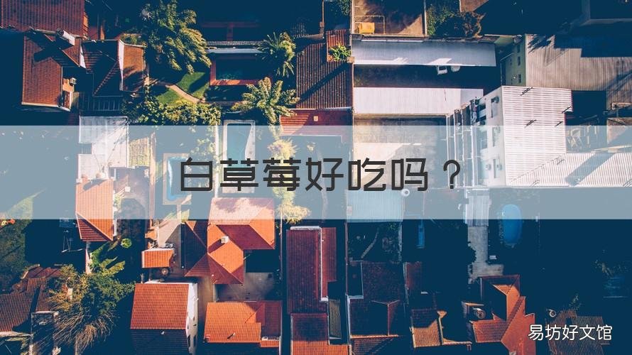 白草莓好吃吗 白色草莓好吗