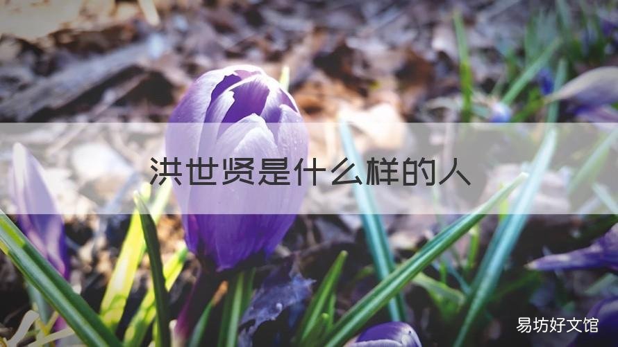 洪世贤是什么样的人 洪世贤出生年月