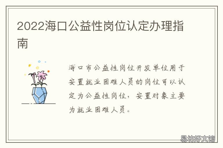 2022海口公益性岗位认定办理指南 海南省公益性岗位
