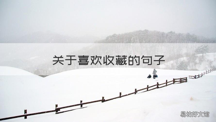 关于喜欢收藏的句子 有关收藏的句子