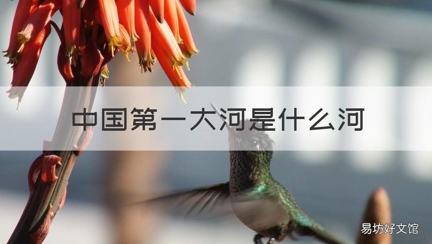 中国第一大河是什么河 中国第一大河是什么河被称为母亲河的是什么