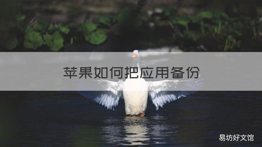 苹果如何把应用备份 苹果怎么应用备份