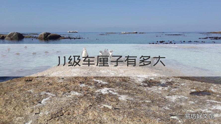 JJ级车厘子有多大 JJ级的车厘子