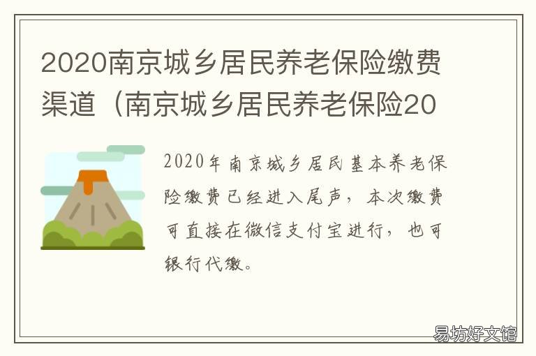 2020南京城乡居民养老保险缴费渠道 南京居民养老保险政策2020