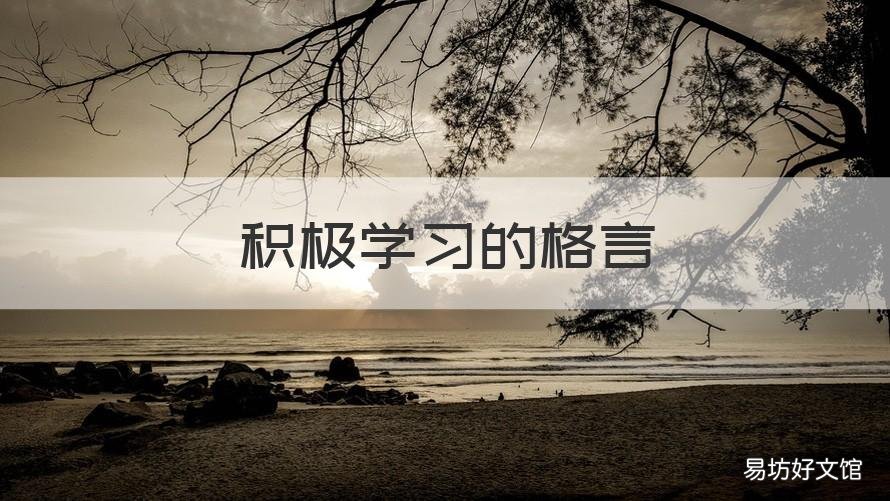 积极学习的格言