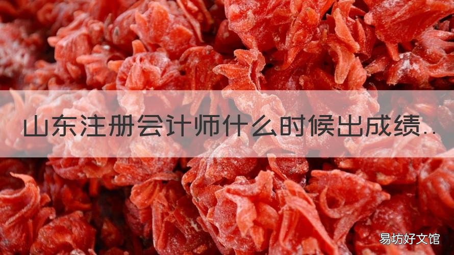 山东注册会计师什么时候出成绩 山东注册会计师考试时间2021考试时间