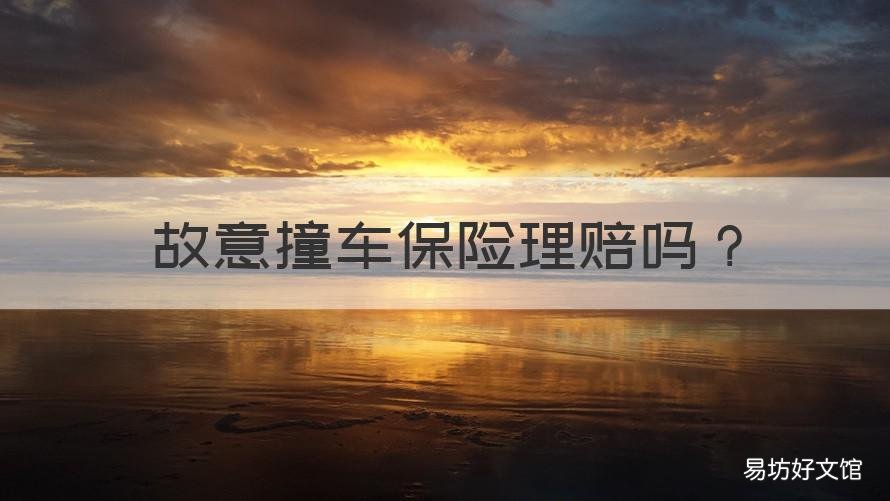 故意撞车保险理赔吗 故意撞人车险赔吗