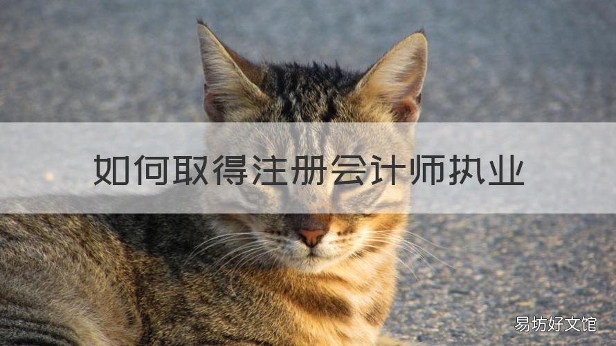 如何取得注册会计师执业 如何取得注册会计师执业资格证