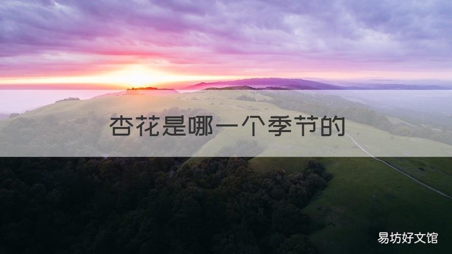 杏花是哪一个季节的 杏花是属于什么季节