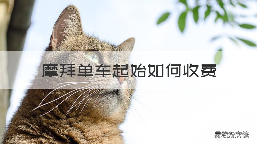摩拜单车起始如何收费 摩拜单车收费标准