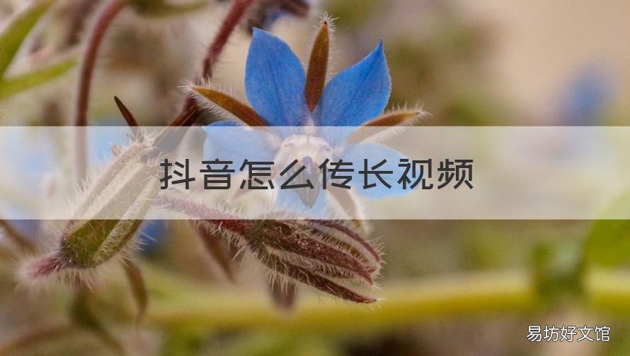 抖音怎么传长视频 抖音如何长传长视频