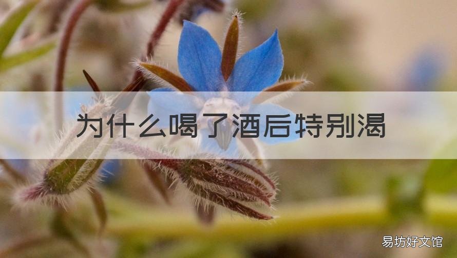 为什么喝了酒后特别渴 为什么喝了酒后特别渴怎么回事