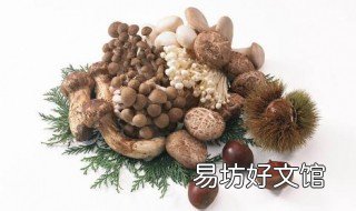 食用菌发酵料处理细节 食用菌发酵料制作方法