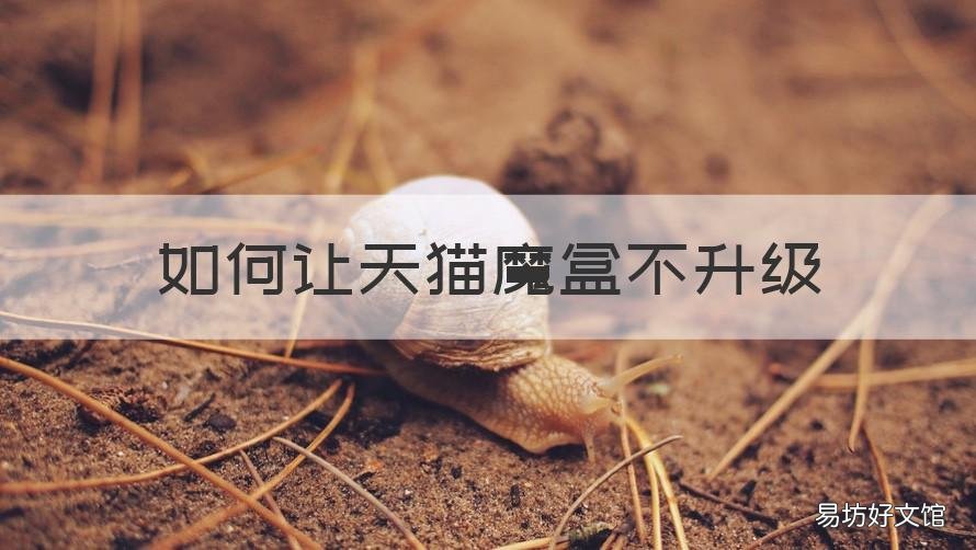 如何让天猫魔盒不升级 天猫魔盒怎么降级