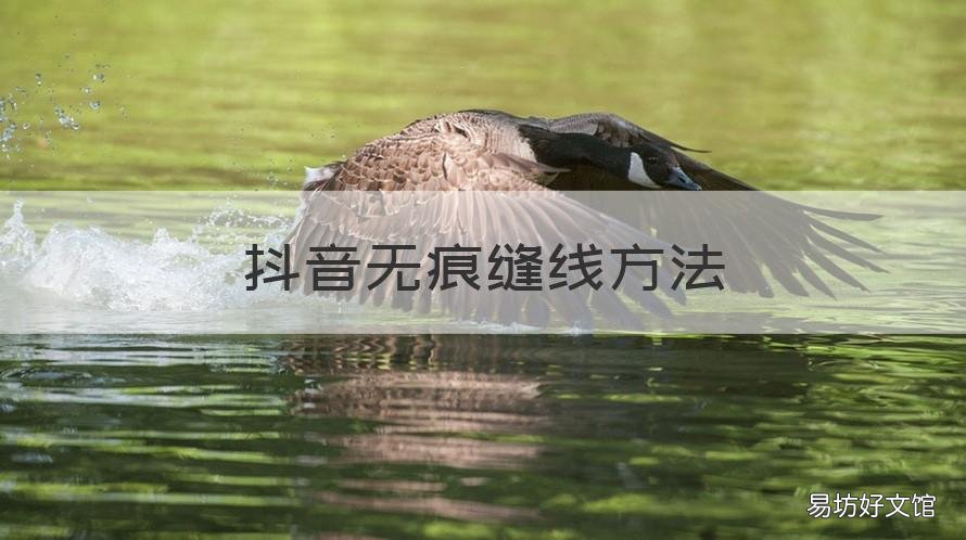 抖音无痕缝线方法 抖音上的针线缝合法小视频