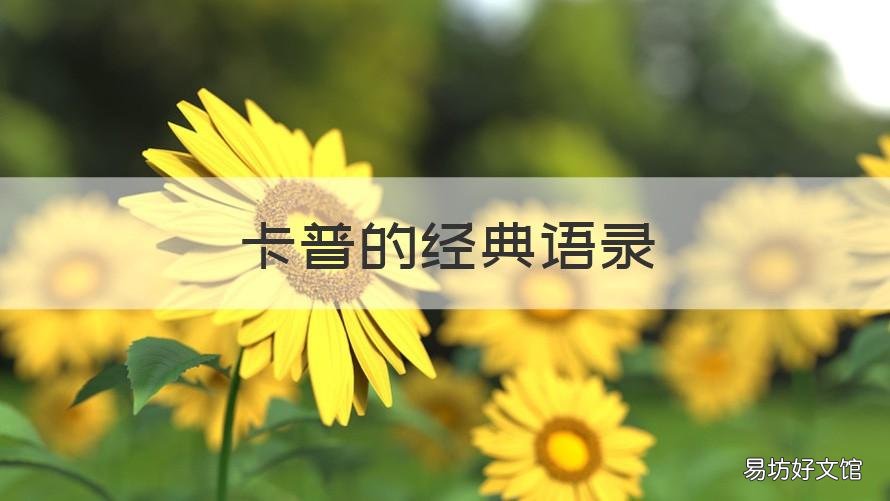 卡普的经典语录 海贼王卡普经典语录