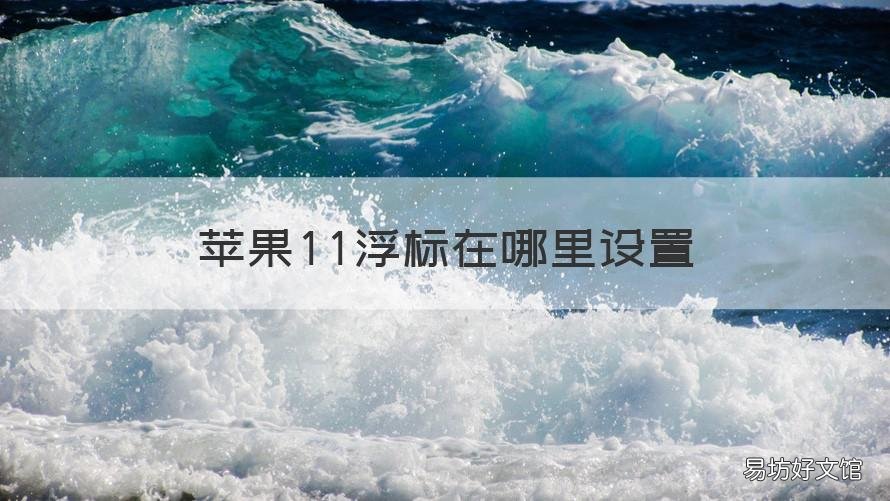 苹果11浮标在哪里设置 iPhone12怎么设置浮标