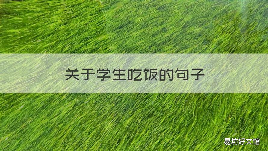 关于学生吃饭的句子 学生吃饭的说说