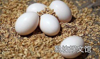 鸽子蛋破了没有流水还能孵出来吗 鸽子孵蛋为什么蛋破了