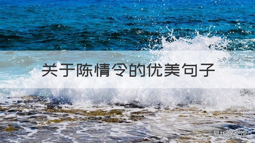 关于陈情令的优美句子 有关陈情令的句子