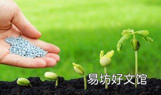 花多多保质期 一瓶花多多能用多久