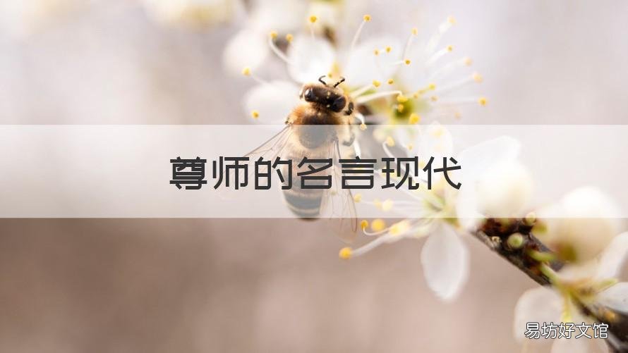 尊师的名言现代 尊师的名言警句现代