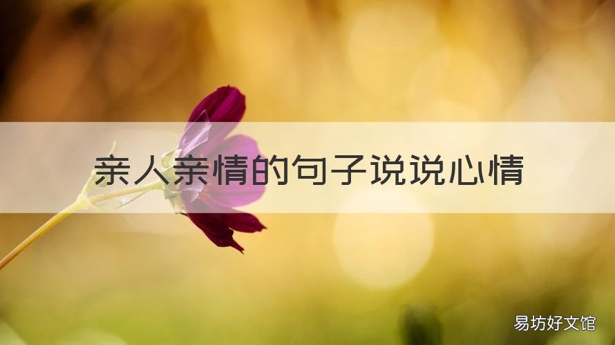 亲人亲情的句子说说心情 关于家人亲情的说说