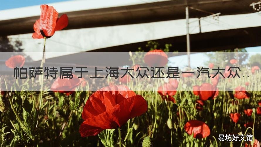 帕萨特属于上海大众还是一汽大众 帕萨特属于一汽大众还是上汽大众