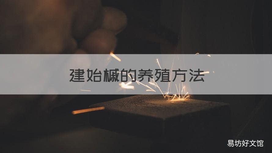 建始槭的养殖方法 建始槭的养殖方法有哪些