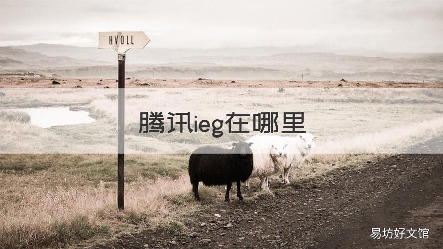 腾讯ieg在哪里 腾讯ieg在哪里办公 北京