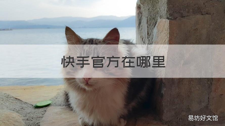 快手官方在哪里 快手官方在哪里联系
