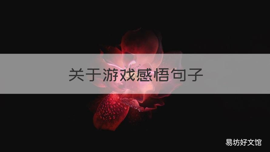 关于游戏感悟句子 感悟游戏的句子