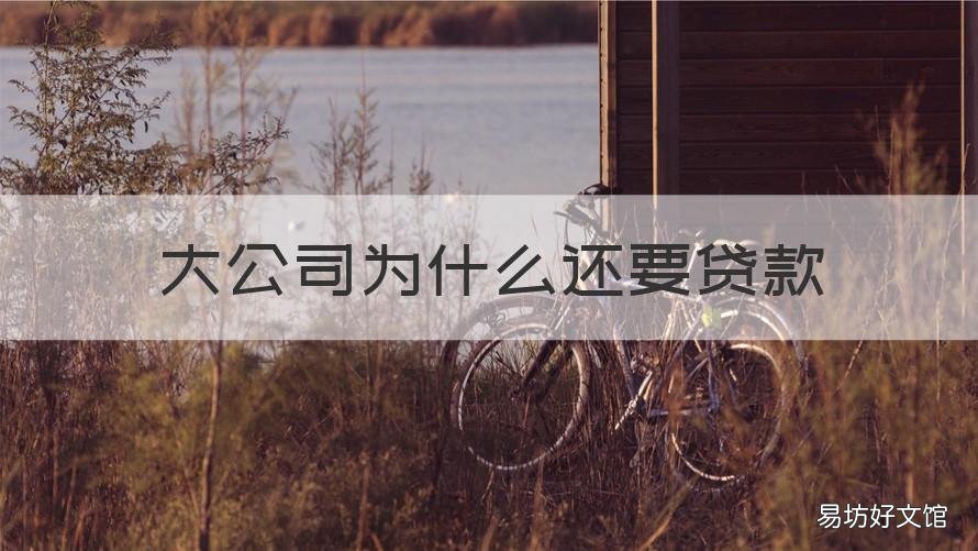 大公司为什么还要贷款 为什么公司有钱还要贷款