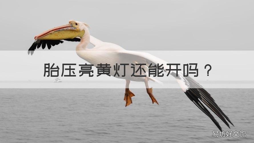 胎压亮黄灯还能开吗 胎压亮黄灯了还能开吗