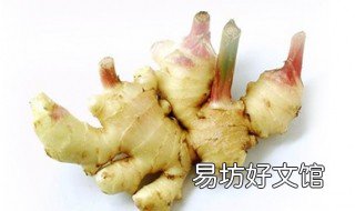 生姜种植深度 生姜种植深度多少合适