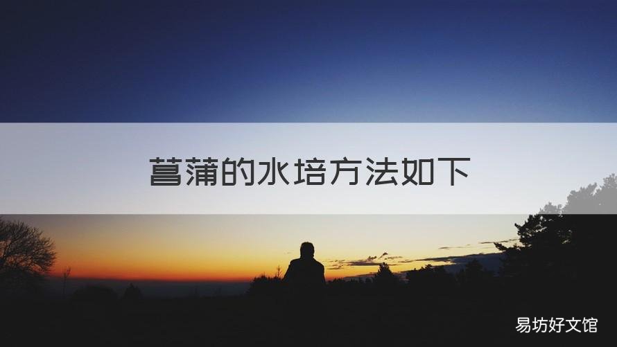 菖蒲的水培方法如下 菖蒲的水培方法如下图片
