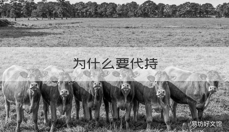 为什么要代持 为什么要代持公司