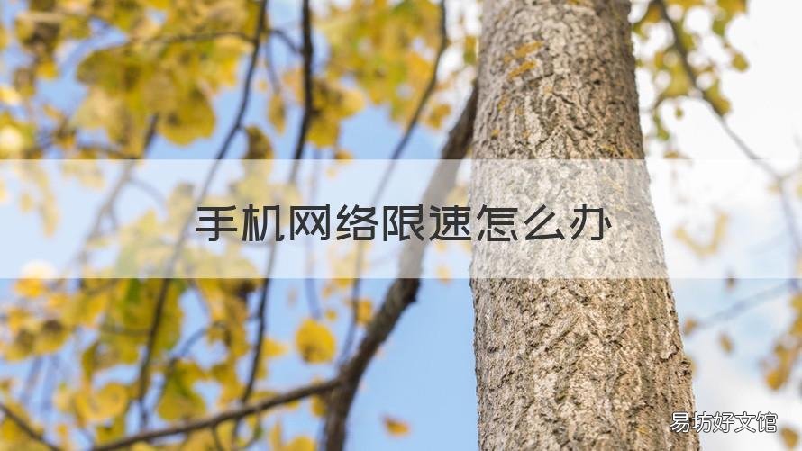 手机网络限速怎么办 手机网络限速怎么办有啥办法让网速快点嘛