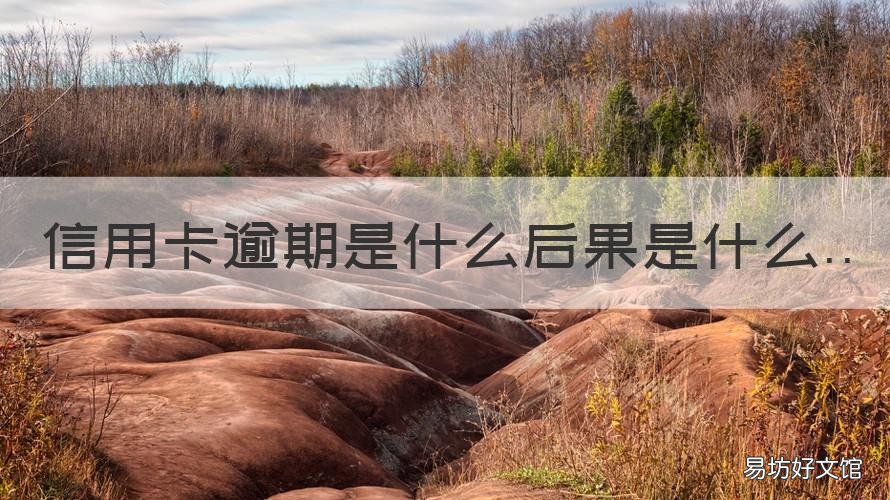 信用卡逾期是什么后果是什么 信用卡 逾期 后果