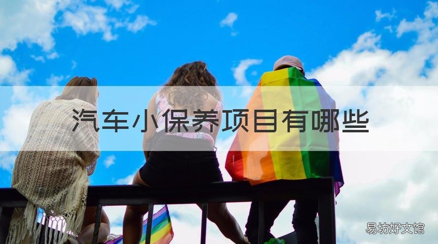 汽车小保养项目有哪些 汽车小保养项目有哪些呢
