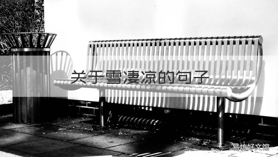 关于雪凄凉的句子 关于雪的句子伤感短句