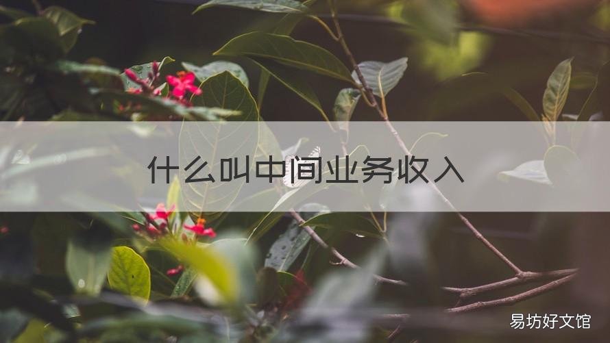 什么叫中间业务收入 中间业务收入率等于