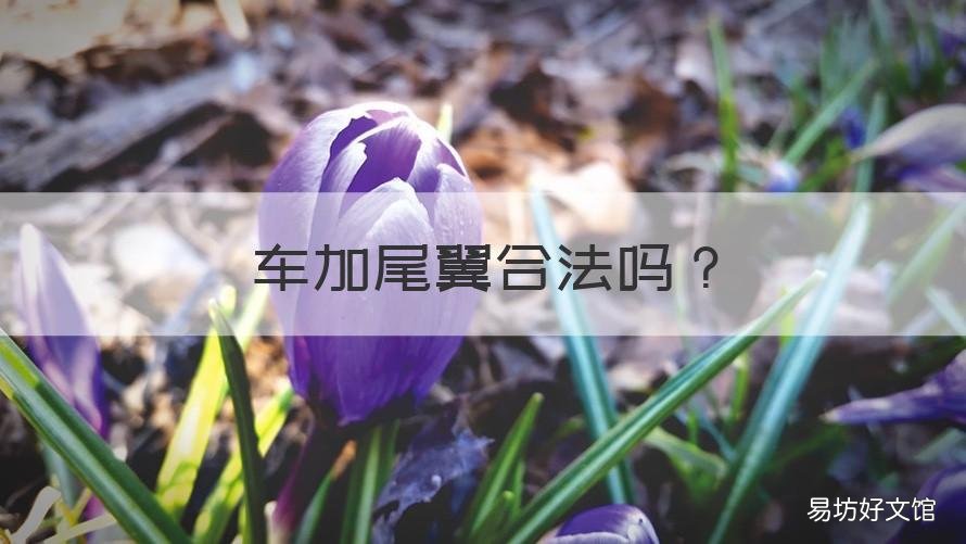 车加尾翼合法吗 汽车加尾翼合法吗