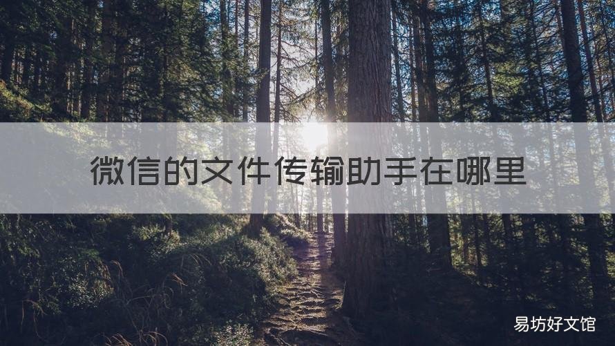 微信的文件传输助手在哪里 微信的文件传输助手在哪里退出