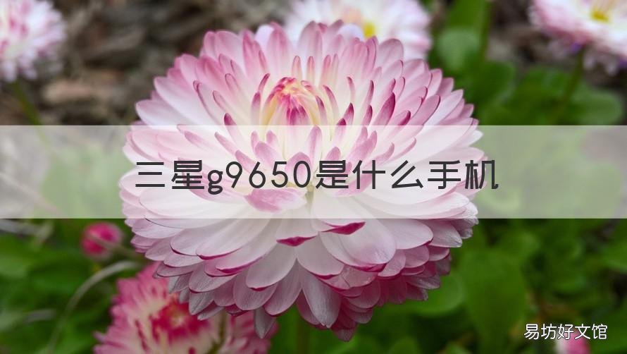 三星g9650是什么手机 三星g9508是什么手机