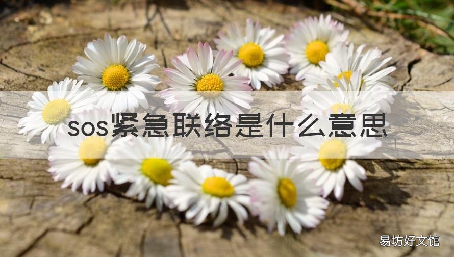 sos紧急联络是什么意思 sos紧急联络是什么意思英语