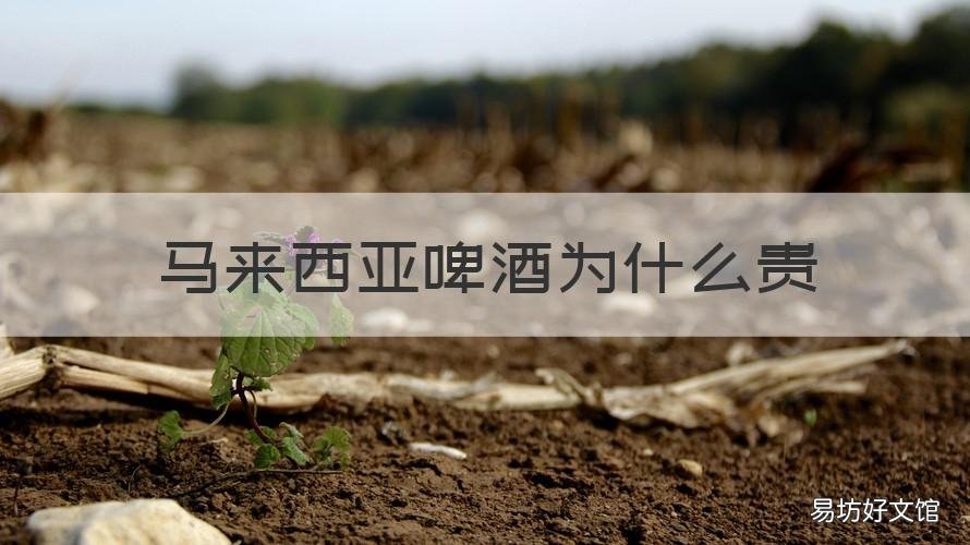 马来西亚啤酒为什么贵 马来西亚酒贵吗
